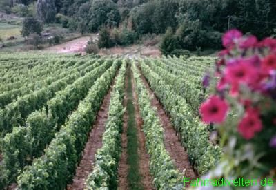 
Landschaftsbild aus der Rubrik Landschaften von unseren Fahrradtouren und Fahrradreisen: