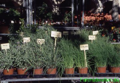 
Landschaftsbild aus der Rubrik Landschaften von unseren Fahrradtouren und Fahrradreisen: